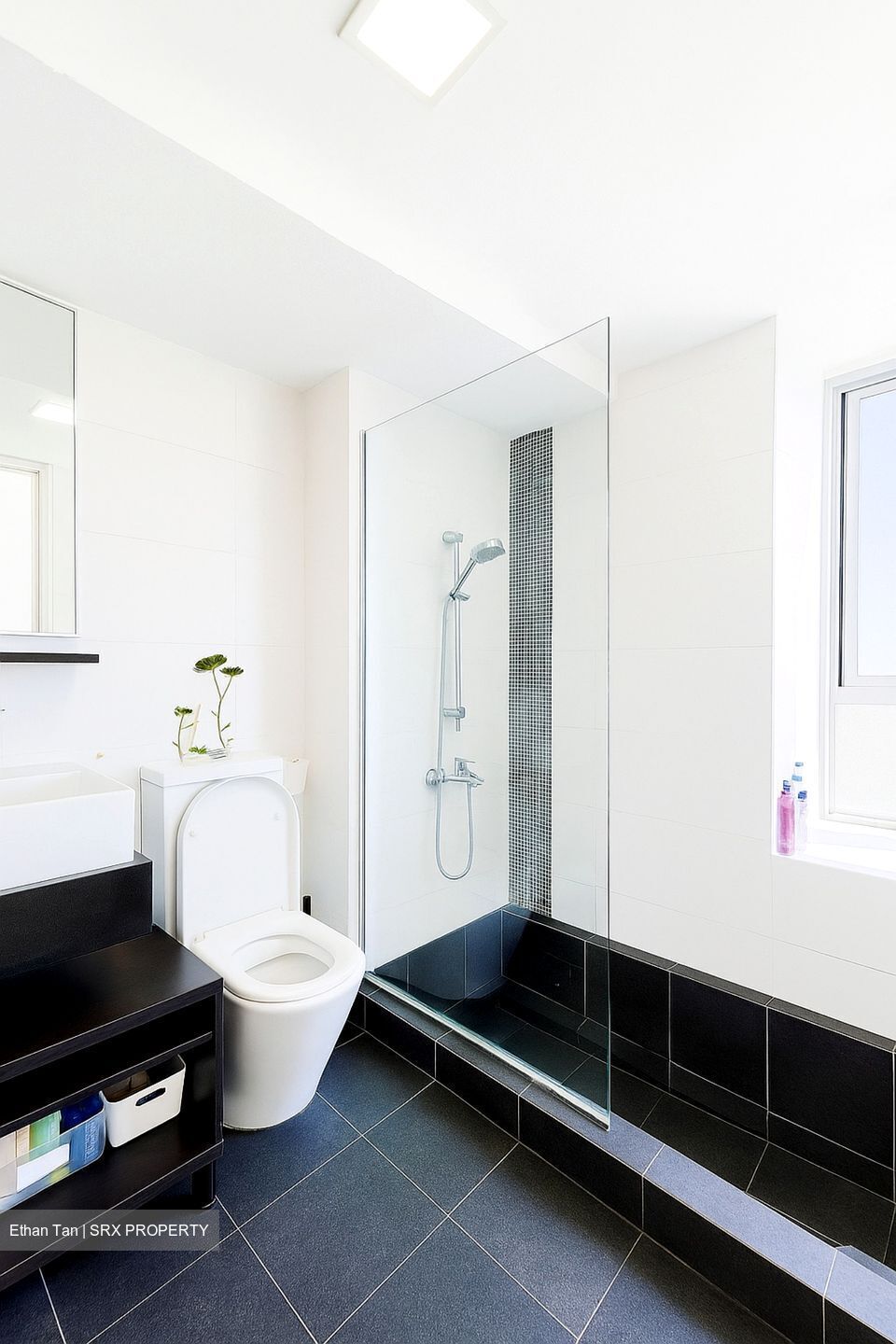 Wilkie 80 (D9), Apartment #529519071
